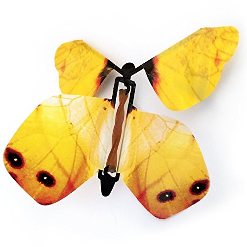 Amazon.com: (Pack of 4) Flying Butterfly Surprise : Everything Else